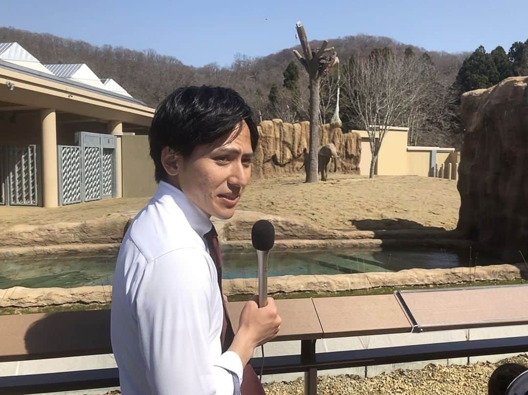のインスタグラム：「フィールドキャスターの安宅です。⠀ 北海道は最も早い夏日に。⠀ 札幌の円山動物園のゾウたちも暑そうでした。⠀ あすもご覧ください！⠀ ⠀ #ライブニュースイット⠀ #加藤綾子 #風間晋 #木村拓也 #佐々木恭子 #酒井千佳 #海老原優香⠀ #フジテレビ #アナウンサー⠀ https://www.fujitv.co.jp/livenews_it/」