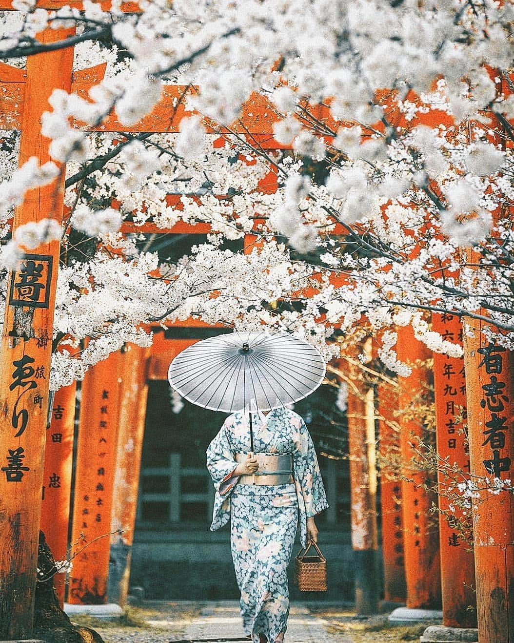 Berlin Tokyoさんのインスタグラム写真 - (Berlin TokyoInstagram)「⛩️ Japanese tradition. . . . 📍#kyoto , #Japan」4月17日 21時53分 - tokio_kid