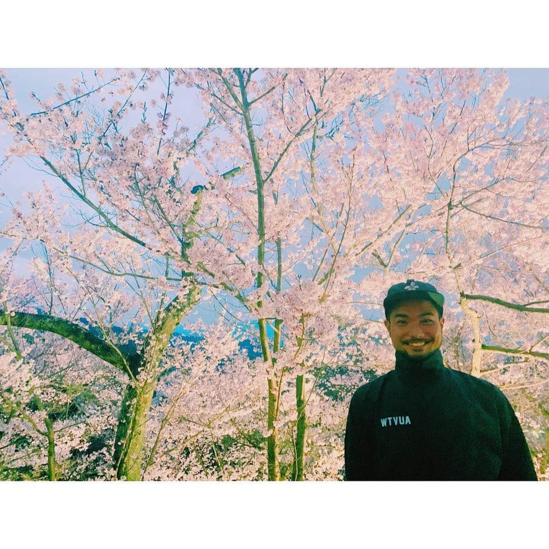 安東輝さんのインスタグラム写真 - (安東輝Instagram)「🌸🌸🌸」4月17日 21時56分 - iamakiraando