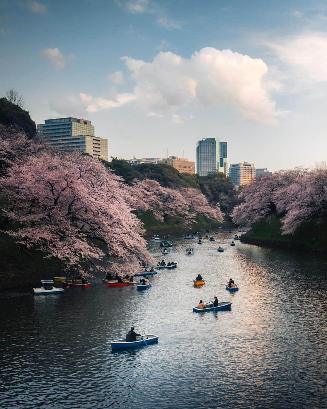 Canon Photographyさんのインスタグラム写真 - (Canon PhotographyInstagram)「// @jordhammond: I loved the lazy afternoons we spent rowing on Chidorigafuchi Moat. Ive also just realised that we’ve visited Japan five times in the past two years - time to explore somewhere new! Any good suggestions for the months of July and August?! 🚣🏼‍♂️☁️🌸」4月17日 21時57分 - cpcollectives