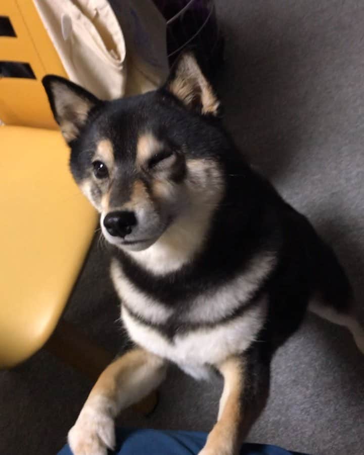 吾子のインスタグラム