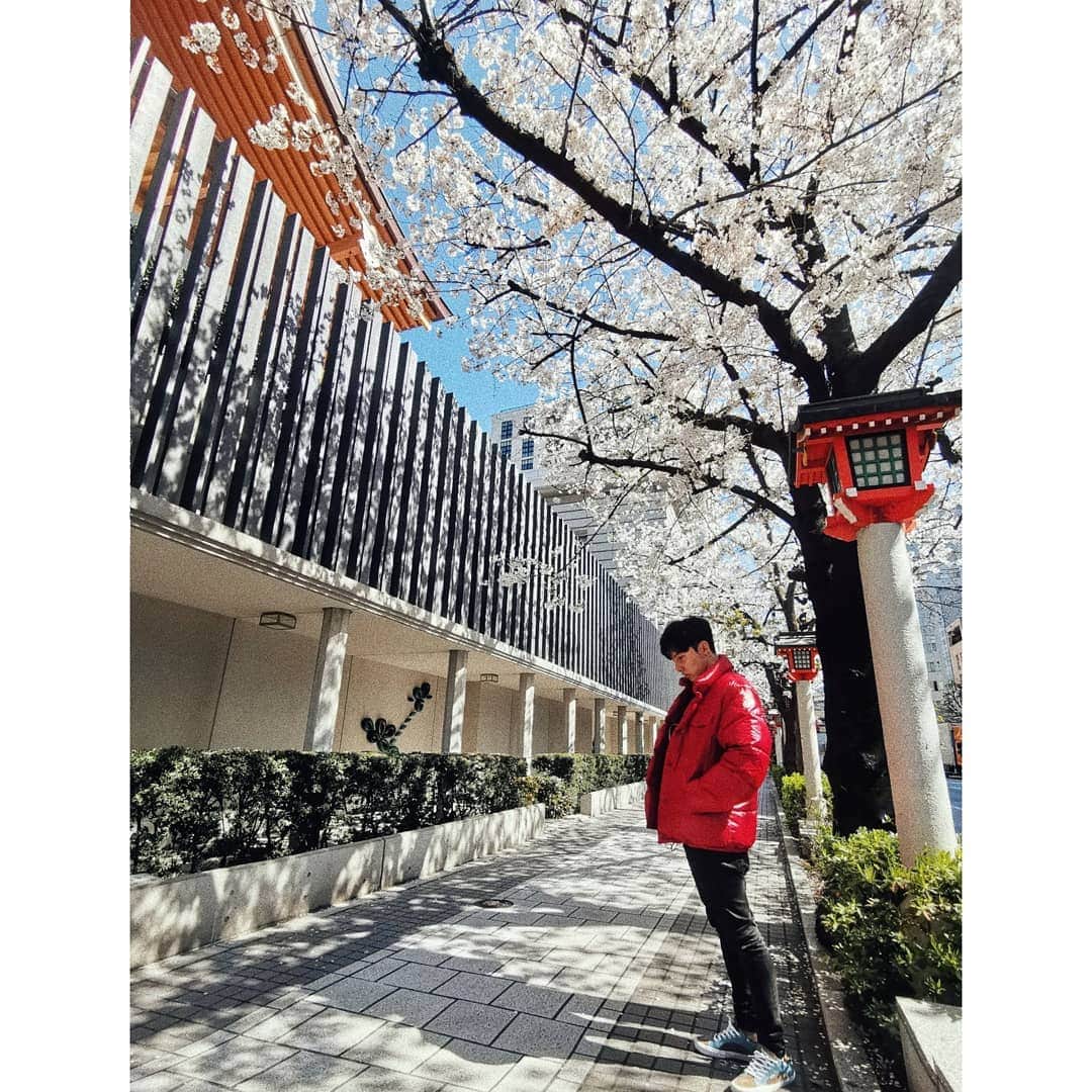 ダンソン・タンのインスタグラム：「🚶🚶🚶 #DT視角 #唐禹哲 #Tokyo #cherryblossom #DT #HOTHEART #SEVENDAYS  #櫻花 #東京」