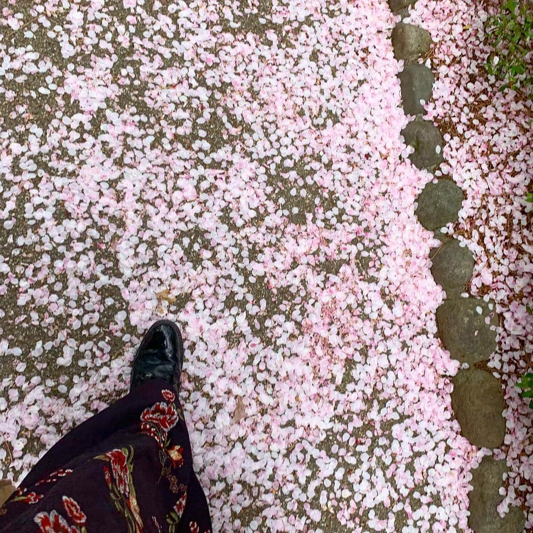 三倉茉奈さんのインスタグラム写真 - (三倉茉奈Instagram)「わぁぁぁ すごく、ピンク。 #pink」4月17日 22時31分 - mana_mikura_official