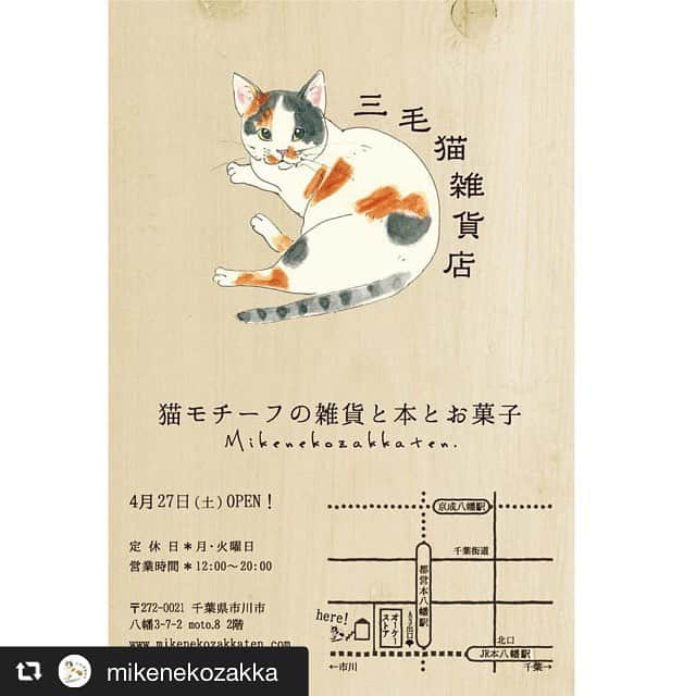 yamanekoさんのインスタグラム写真 - (yamanekoInstagram)「私の描いた三毛の絵が目印！ 嬉しい！御開店おめでとうございます🎉近々お伺いしますね😸 @mikenekozakka」4月17日 22時39分 - yamaneko5656