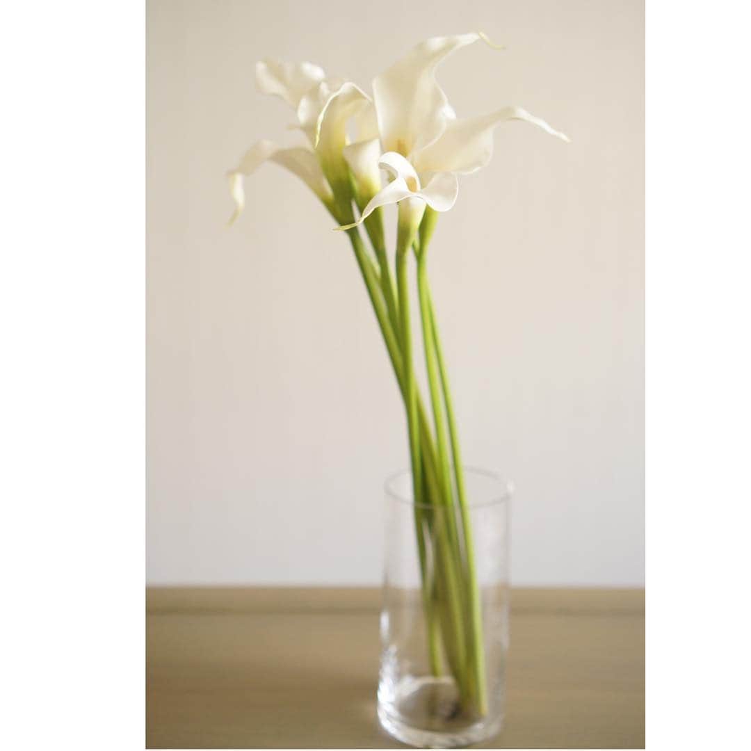 池上真麻さんのインスタグラム写真 - (池上真麻Instagram)「@salondorstyle で、カラーを仕入れました！このカラー、茎の感じもとてもリアルで美しくて、実は私も自宅で5年近く飾りっぱなしです😆👍 ぴったりの花瓶も用意してますよ。 生花を切らさずに飾るのはなかなか難しいママたちにも、ぜひ、最高品質のアーティフィシャルフラワー(造花)で花のある暮らしを楽しんでほしい！ . #サロンドール #花のある暮らし #アーティフィシャルフラワー #造花 #salondor #instaflower #flowers #flowerarrangement #flowerstagram #池上真麻」4月17日 14時13分 - marsaikegami