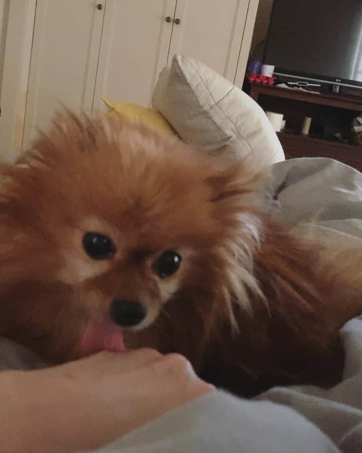 r_oseのインスタグラム：「So sweet 🐻 So soft and gentle 🍫〰️」