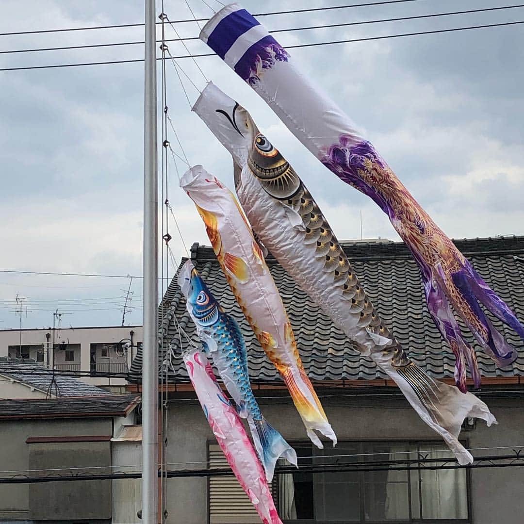 岩本勉さんのインスタグラム写真 - (岩本勉Instagram)「大阪のアッシの家の鯉のぼりが今年も元気に泳ぎまくりや(*≧∀≦*)」4月17日 14時31分 - gun18gun18