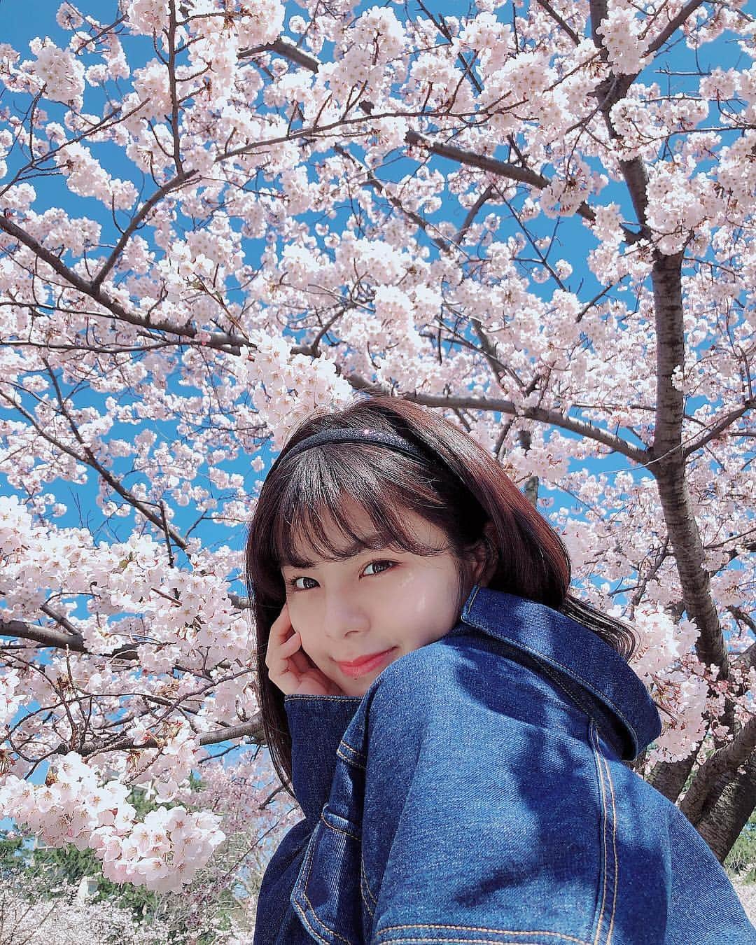 のインスタグラム：「* また来年な気がします🌸」