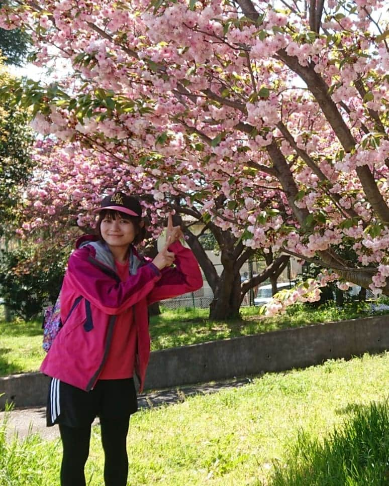 桜花さんのインスタグラム写真 - (桜花Instagram)「午後もナイスにゴーゴー！🍀 昨日、野球練習で見つけた可愛い花🌼🌼🌼 #午後もナイスにゴーゴー #午後  #ゴーゴー  #花  #flowers  #flower #haveaniceday #pink  #pinkflowers  #ピンク  #ピンクの花 #自然」4月17日 15時12分 - mountainohka