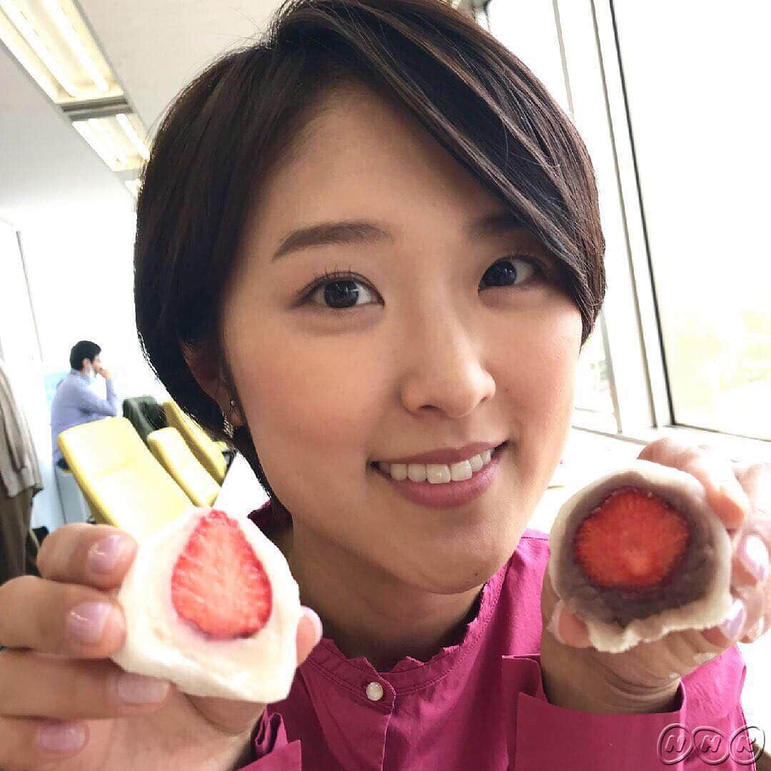 あさイチさんのインスタグラム写真 - (あさイチInstagram)「近江アナの和菓子部門No. 1スイーツは、いちご大福🍓 白あんとこしあん、どっちが好きですか？近江アナは悩んだ挙句…白あん食べてから、こしあん食べました😋 #いちご大福 #🍓 #2枚目は半分にキレイに切る方法 #全体をラップで覆ってから切ると上手く切れます🔪✨ #3枚目は甘くて大きいいちご #nhk #あさイチ #8時15分から」4月17日 15時09分 - nhk_asaichi