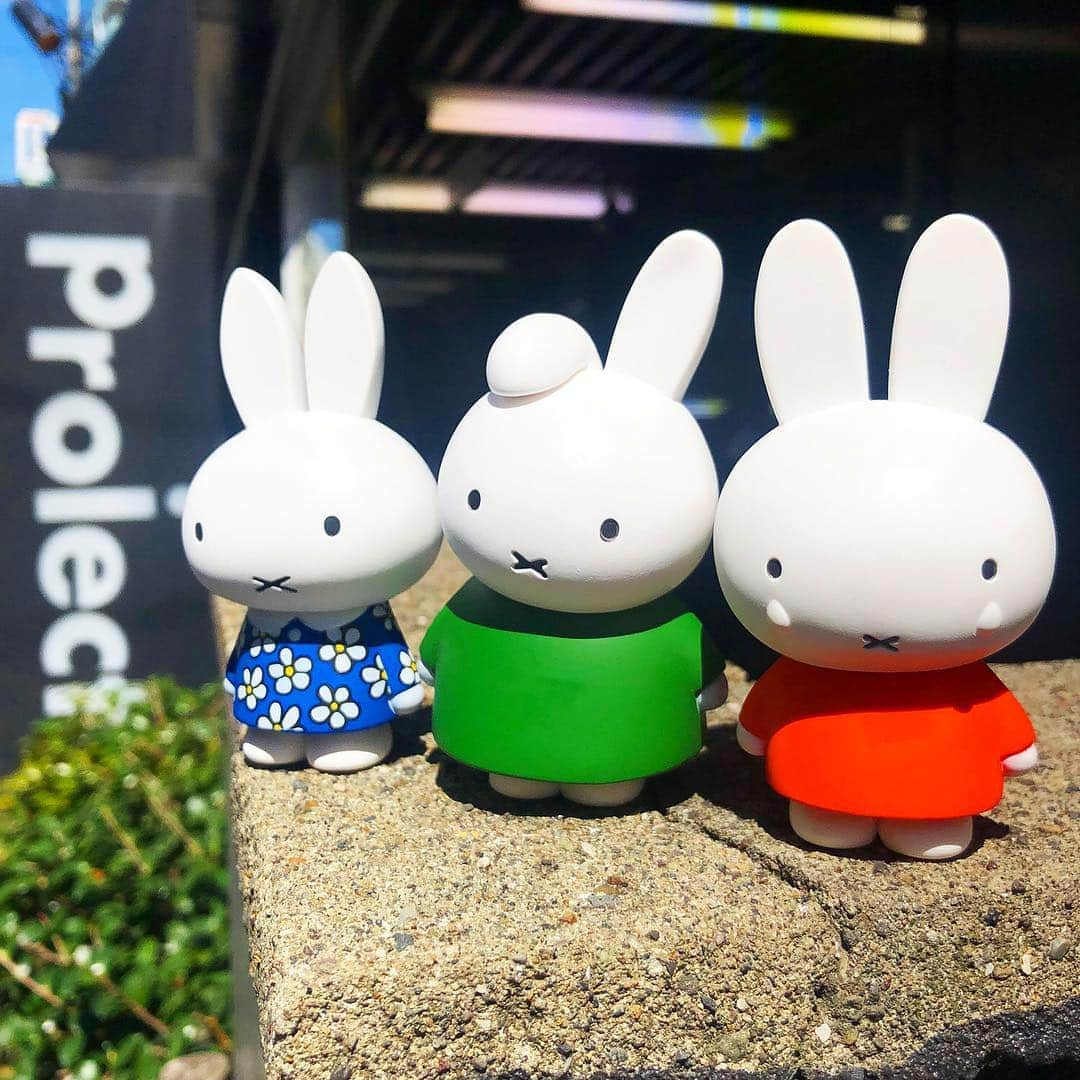 MEDICOM TOYさんのインスタグラム写真 - (MEDICOM TOYInstagram)「🐰 (c) Mercis bv  #medicomtoy #メディコムトイ #miffy #dickbruna #ミッフィー #ディックブルーナ #udf」4月17日 15時28分 - medicom_toy