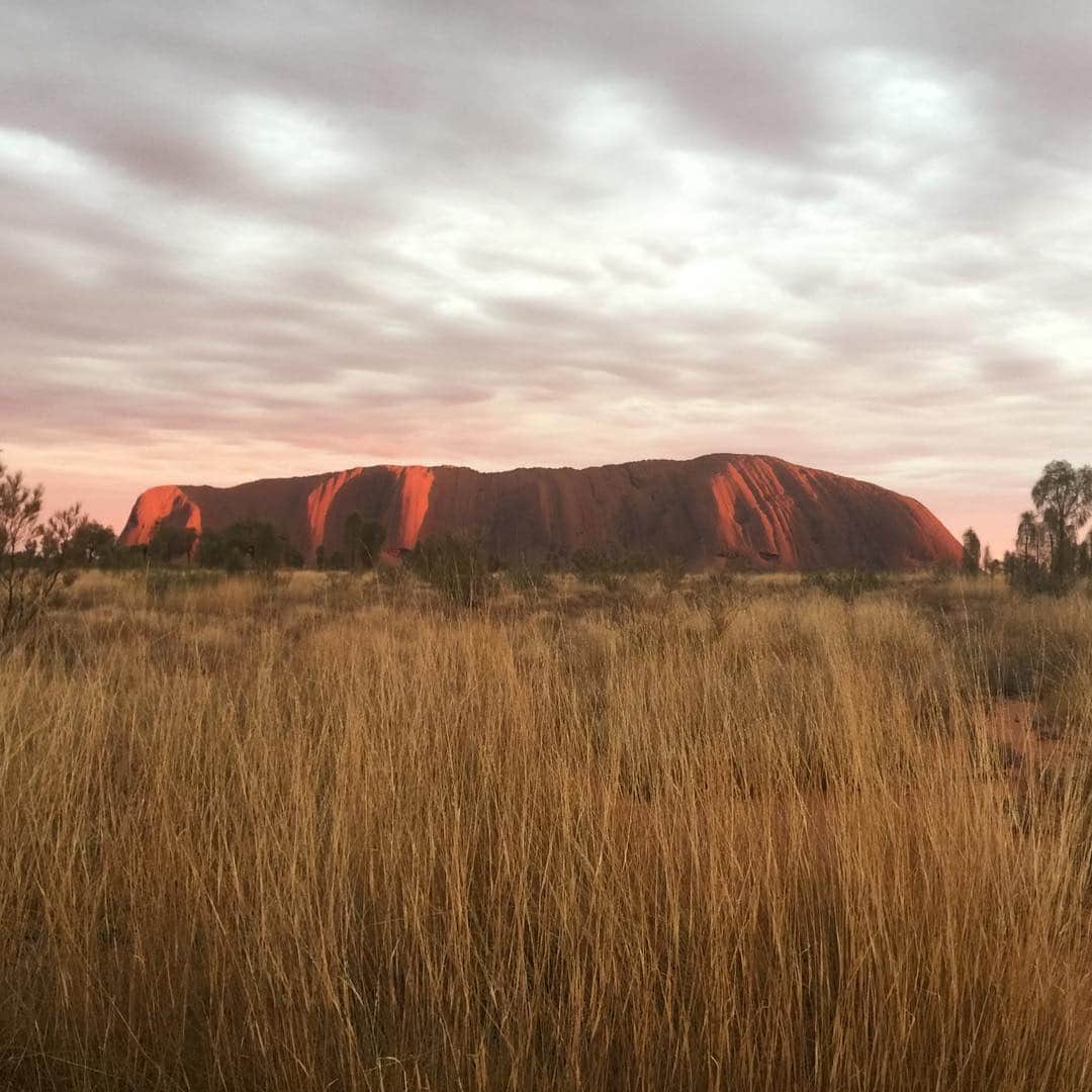 香西咲さんのインスタグラム写真 - (香西咲Instagram)「自然が私に魅せてくれた表情🌅  #Australia  #ululu  #airsrock  #sunrise」4月17日 16時05分 - saki.kouzai