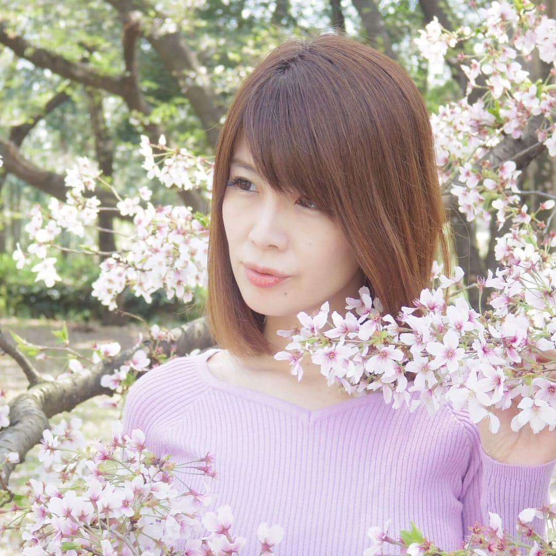 沢木麻衣さんのインスタグラム写真 - (沢木麻衣Instagram)「お花見撮影会🌸 #写真好きな人と繋がりたい  #桜 #満開の桜  #撮影会 #写真で伝えたい私の世界」4月17日 15時58分 - maikaru720