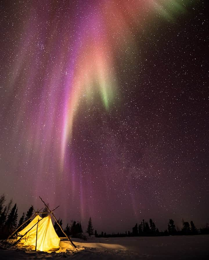 National Geographic Travelさんのインスタグラム写真 - (National Geographic TravelInstagram)「Photo by @daisygilardini | Science explains that the northern lights are generated by the collision between electrically charged particles from the sun as they enter the Earth’s atmosphere. Mythology adds some interesting tales, as well. In Finland it’s believed the lights are sparkles created by a running arctic fox. In North America, some native people believe the aurora is the dance of animal and human spirits. Besides science and mythology, the phenomenon is an absolutely mesmerizing experience. Follow me @DaisyGilardini for more images and stories behind the scenes. #northernlights #auroraborealis #manitoba #canada #nightphotography #landscapephotography」4月17日 15時59分 - natgeotravel