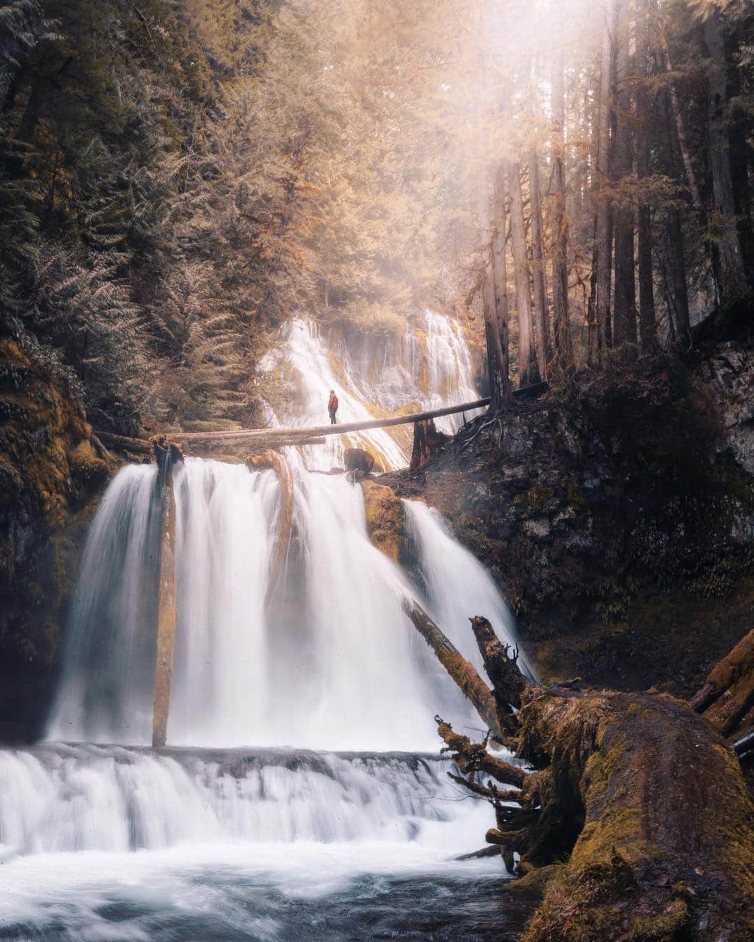 Canon Photographyさんのインスタグラム写真 - (Canon PhotographyInstagram)「Which waterfall is your favourite? 1-Multnomah Falls, 2-Panther Creek Falls or 3- Latourell Falls? Photos | @ianharper @henry.nathan @cpcreatives #chasingwaterfalls」4月17日 16時03分 - cpcollectives