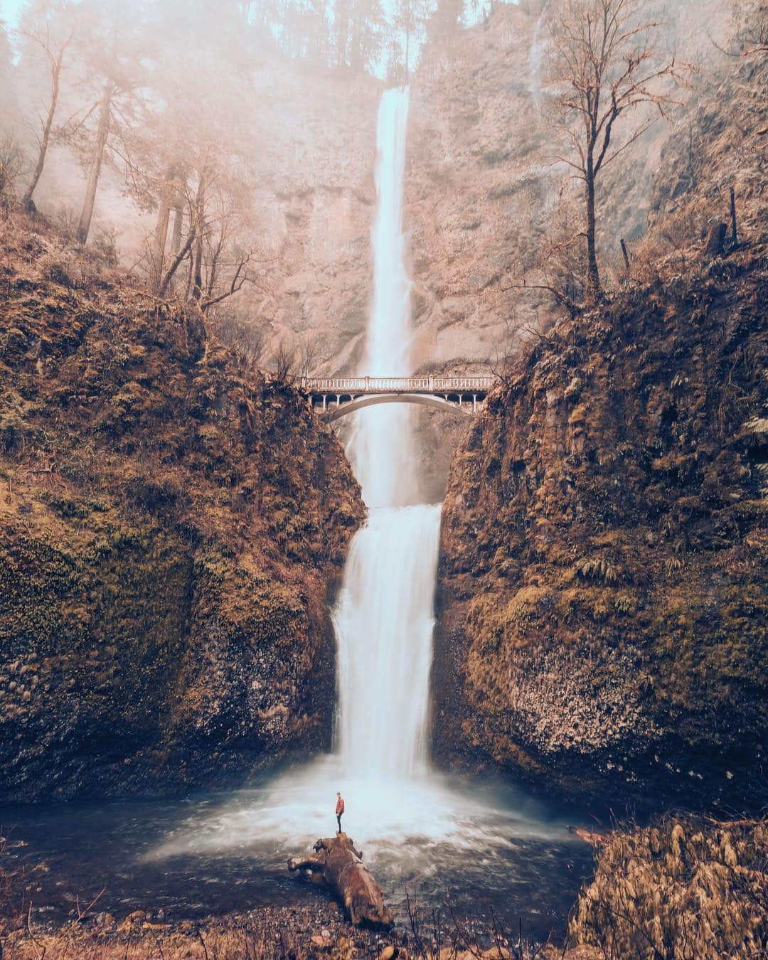 Canon Photographyさんのインスタグラム写真 - (Canon PhotographyInstagram)「Which waterfall is your favourite? 1-Multnomah Falls, 2-Panther Creek Falls or 3- Latourell Falls? Photos | @ianharper @henry.nathan @cpcreatives #chasingwaterfalls」4月17日 16時03分 - cpcollectives