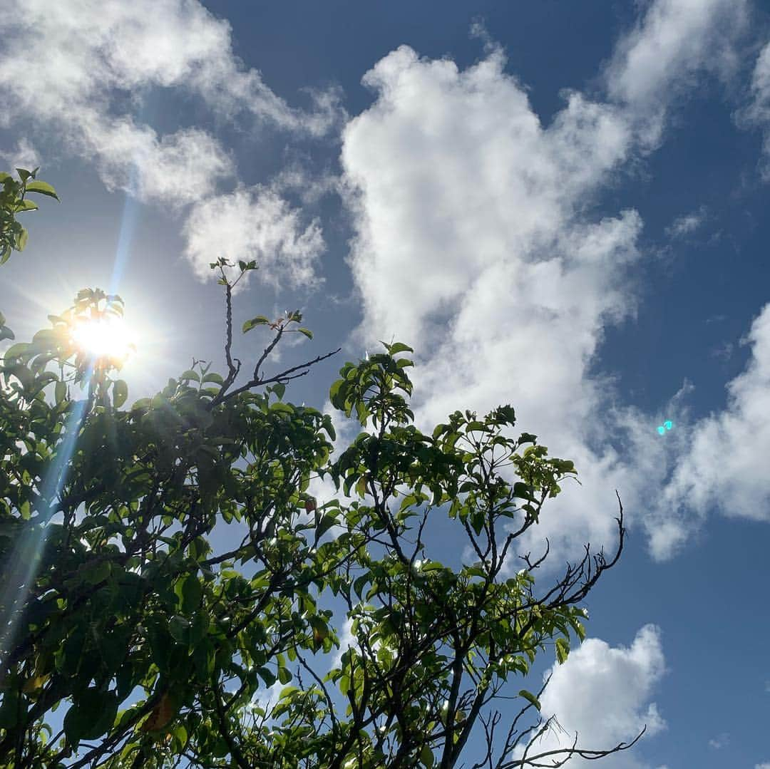 崎山一葉さんのインスタグラム写真 - (崎山一葉Instagram)「昨日が肌寒かった分、今日の天気にはビックリ‼︎ 🌞 ・  私の仕事のジャンルの中で、大きく飛躍しないとゲットできない物があり、その為の克服として、目線を下げずに歩く練習を今年は多くしています👟👟 ・ ・ 同じ道を何往復もする話を聞いたスタッフさんが、［飽きないのかいっ！］と驚いていました🤣 ・ 答えは 全然飽きないっ。。‼︎ ・ ・ 流石に今日の様な陽射しだと日中は長く歩けないけど、友人の気象予報士田地ちゃん(@taka10002 )が影をよく撮るもんだから、私も撮ってみました☺︎ ・  田地ちゃん 楽しみをありがとう🙌  #okinawa #sunnyday #today」4月17日 16時03分 - kazuha_sakiyama