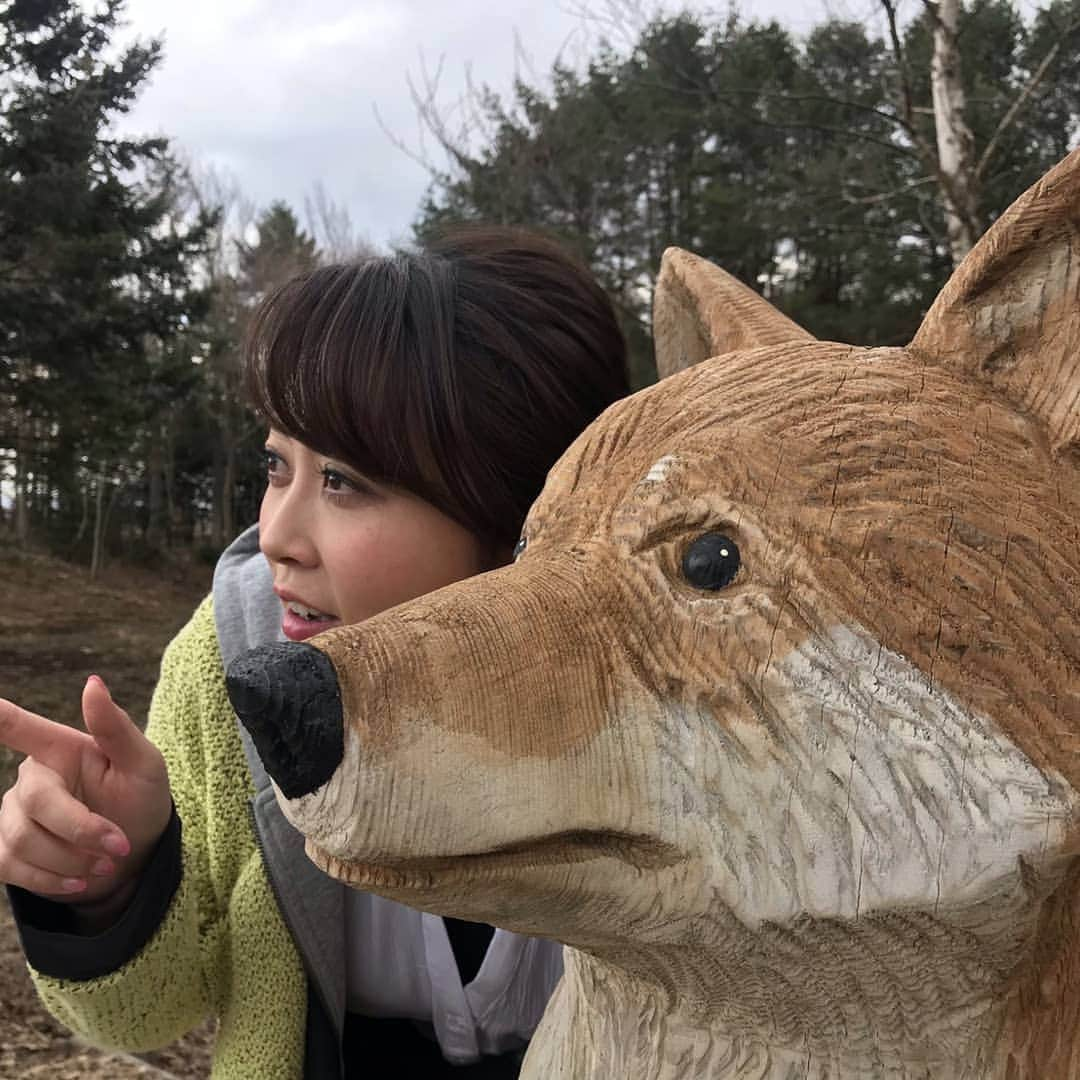 テレビ北海道「旅コミ北海道」さんのインスタグラム写真 - (テレビ北海道「旅コミ北海道」Instagram)「【旅コミ北海道】 . . 青山どうぶつ園！?一流グルメに栄光のストーリーも！今週は新スポット続々　GW日帰りドライブ . . 旅コミ北海道〜じゃらんde GO! 毎週土曜 夕方6時30分 4月20日OA . . #旅コミ#北海道#北海道じゃらん#旅#グルメ#食#観光#オフショット#テレビ北海道#青山千景 #tabikomi#7ch#hokkaido#tvh#tvprogram#television#sightseeing#gourmet#travel#food」4月17日 16時10分 - tabikomi_hokkaido