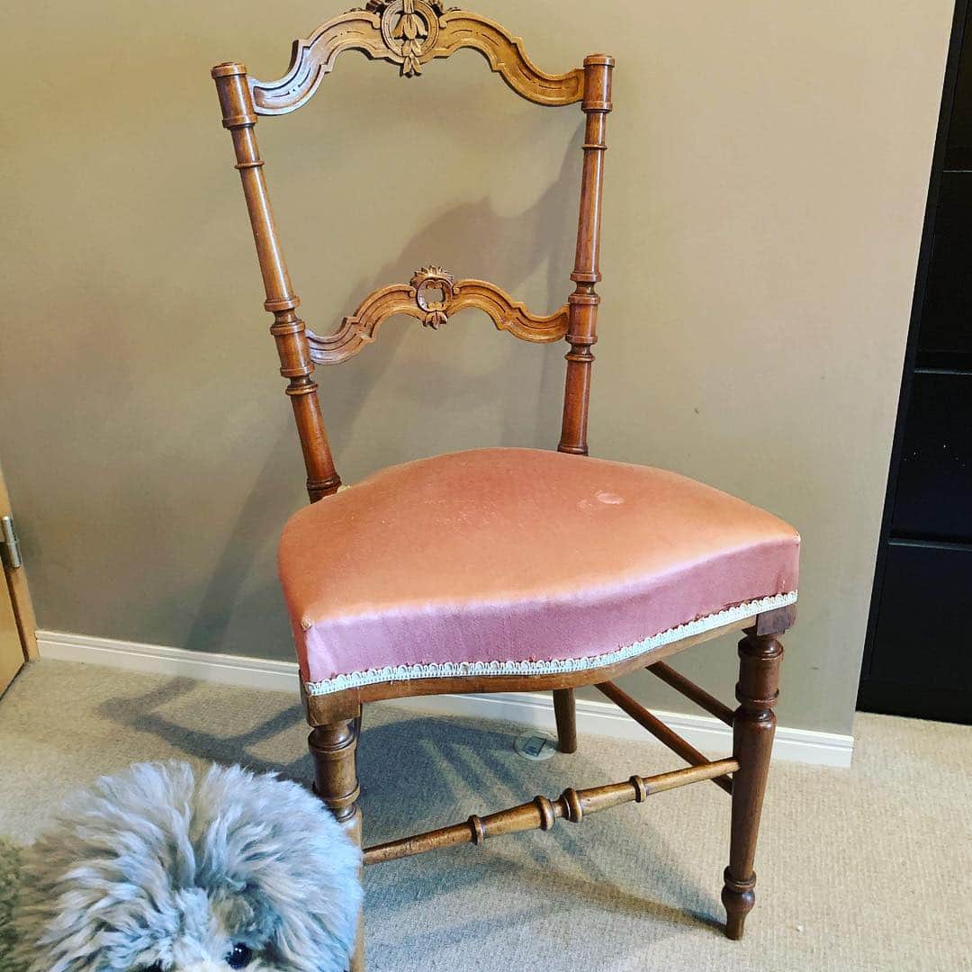 稚野鳥子さんのインスタグラム写真 - (稚野鳥子Instagram)「装飾が綺麗なピンクの座面が可愛らしい椅子です。 下に写ってる毛玉は商品ではありません🤗 #toricoloreshop #アンィーク家具#フランスアンティーク #アンティークショップ#アンティーク椅子 #毛玉#トイプードルふわもこ部 #僕はシロップ」4月17日 16時30分 - toricolore_shop