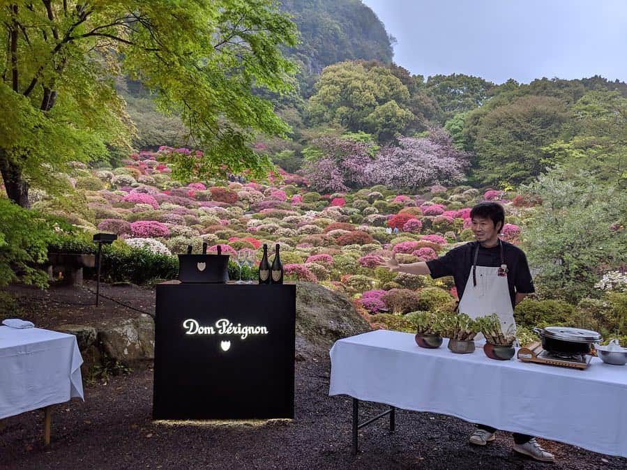本田直之のインスタグラム：「Inspire by Relux 　御宿竹林亭 x 傳 20組限定、五感で味わう至高の旅行体験。 https://rlx.jp/inspire201904  宿泊体験を変える。 これまで世界中を旅して、いろいろな宿・ホテルに泊まり経験したものを活かして、いままでにない世界観を提供しよう。そんな思いを香川真司選手のCMでおなじみの高級旅館予約サイトRelux社長の篠塚孝哉と話したことから始まったこのプロジェクト。  会場に選んだのは、僕が日本でTop3に好きな宿。 佐賀県武雄市にあり、チームラボのイベントでも知られる広さ15万坪の池泉回遊式庭園の御船山楽園をもち、Relux最高グレード MUSEUM、ミシュランガイド福岡・佐賀  特別版で最高評価の5レッドパビリオンを獲得した日本を代表する旅館「御宿 竹林亭」。庭屋一如のコンセプト通り、隅々まで緻密に考えられて他では見たことがないほど庭と部屋が一体化していて美しい。  そして、シェフは先月放送された情熱大陸、そして2週間前マカオにて発表されたAsia's 50 Best Restaurants 2019で3位受賞、さらにランクインしたシェフが選ぶChef's Choiceを受賞した傳の長谷川在佑。  レストランは長くても4時間、それに対し宿は21時間と7倍もの時間を過ごすのでまったく違う体験になる。  宿泊体験は、部屋のしつらえ、眺め、温泉、睡眠などに加え、お客様との接点としてはお出迎え、最初のお茶菓子、部屋の冷蔵庫や備品、庭でのアペ、ディナー、バーでの食後酒、そして朝食、お土産とお見送りなどとお客様との接点の多さと時間はレストランとは全く異なる。  お客様が浴衣で、おなかいっぱいになったらそのまま寝れるという、レストランではありえないリラックスした状況での食事ってだけでも全然違う。  それが故に、宿のハードもとても大事だけど、ソフト面も重要。  そのために、竹林亭のスタッフの皆さんは傳についてテレビなどを見て予習した上で試験をやったりと、忙しい中ちゃんと準備してくれていたことを後から聞いて、竹林亭の愛にあふれたおもてなしのレベルの高さの秘密がよくわかった。そして何より笑顔でみんなも楽しんでやってくれていたこと。 傳チームのお客さんを楽しませようというホスピタリティとよくマッチして、完璧なチーム構成になっていた。  ３日間とても濃い時間を過ごさせてもらって、ヘトヘトになったけど（笑）プロデュースするこちらもとてもいい体験になった。  参加いただいた皆様、初回でどんな会になるかも分からない中、来ていただきありがとうございました！  最後に、この体験を実現させるために素晴らしいチームワークで一丸になってくれたチーム傳とザイユウ、竹林亭小原 嘉久社長とスタッフのみなさん、Relux社長しの 、初めてだらけのチャレンジで、手探りしながらも見事にとりまとめてくれたReluxまっちーと新村君、ありがとう！！！またなにか楽しいことを仕掛けて行こう！  Photo by 杉本 圭 (Kei Sugimoto) & 本田直之  #inspirebyrelux #relux #chikurintei #竹林亭 #zaiyuhasegawa #den #ryokan #佐賀 #御船山楽園 #旅館 #discoverjapan #domperignon」