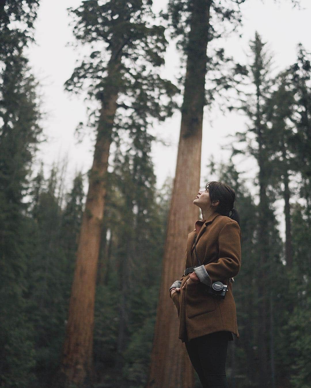 アン・カーティスのインスタグラム：「And I think to myself.... What a wonderful world we have been blessed with 🌲 Was definitely worth the 45 minute detour. Watch my IG stories to see what I’m taking about 🙄 #erwannederlustCA」