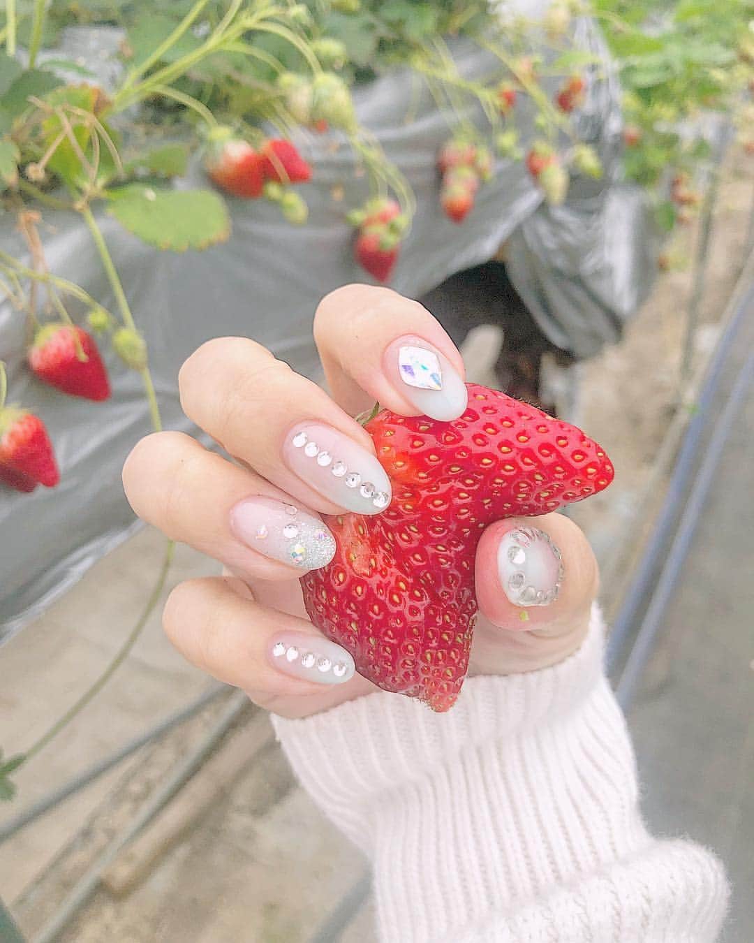 のインスタグラム：「🍓 いちご狩りっ❤️ 今回は61個食べちゃったっ👏🤤 いつか100個食べたい！🥺 でも30分しかないからなかなか難関です。w 、 フルーツ狩りは全部制覇したいくらい大好きで私の中でビックイベント♥︎ この日バスツアーで行ったので、また美味しいご飯やお花とのお写真アップする予定だよ(ˊ•̤ω•̤ˋ)✌️ . 今回のネイルちゃん💅💓 今月誕生日なので、Birthday nail🤣★ おめでたいからキラキラさせました♥︎w 韓国っぽい🇰🇷！！ 珍しくブルーにしてみたのだけど、どうかなあ🥺🥺🥺💓 . @aulii.nails_yuri さんいつもありがとうございます☺️♡ . 手に葉っぱついてる( ⸝⸝⸝°_°⸝⸝⸝ )w , #恵比寿 #ebisunail #aulii #ネイル #nail #恵比寿駅 #恵比寿西口 #褒められネイル #こだわりネイル #ネイルカタログ #멋스타그램 #네일스타그램 #naildesign #nailstagram #ネイルアート #ネイル💅 #バスツアー #はとバス #はとバスツアー #tour #bustour #いちご狩り #フルーツ狩り #春ネイル #ティファニーブルー #韓国風ネイル」