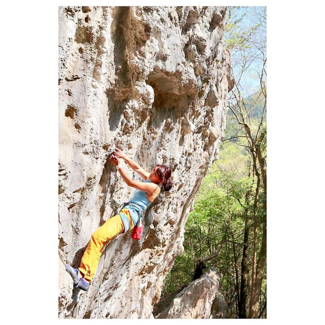 小林由佳のインスタグラム：「現在 MAMMUTでは 《MAMMUT FIELD PHOTO CAMPAIGN》を開催中!✨ ・ ・ 「MAMMUTがある、“フィールド”での最高のワンシーン」を ①#マムート②#マムートフィールドフォト の ２つのハッシュタグをつけて投稿すると 10名様に公式ECストアで使える5万円分クーポン券が当たります⌄̈⃝ 5/19(sun)までだって！ ・ ☞ 詳しくは @mammut_japan のプロフィールリンクより  あたしは全フィールド制覇を目指そかな🤔🤔🤔 ・ ▷wall top women ▷Get away Pants women ▷Togir chalk bag ▷Zephir women」