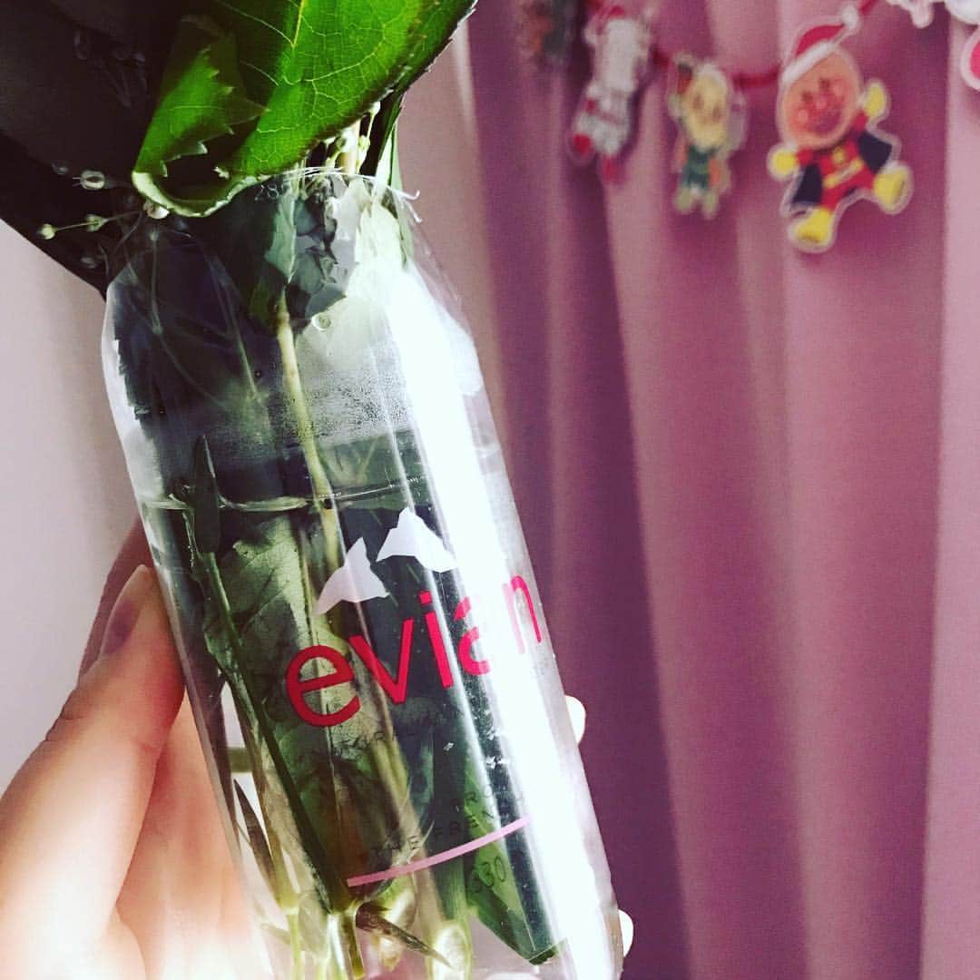 岩政久美子さんのインスタグラム写真 - (岩政久美子Instagram)「昨日は久々にザギンでした☀︎ お花貰いまして、部屋に花瓶がないためÉvianのペッドボトルで作りました( ´ ▽ ` ) お花、窮屈そう…ごめん。ちゃんと毎日お水は変えるけん勘弁してくれ( ´ ▽ ` )爆」4月17日 17時24分 - nyankoteacher10