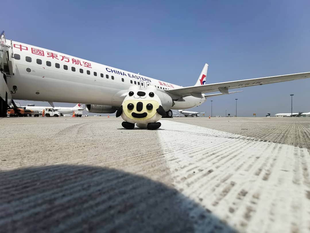 大石暁規さんのインスタグラム写真 - (大石暁規Instagram)「#chinaeasternairlines #中国東方航空 #airplane #飛行機」4月17日 17時26分 - akinori_oishi