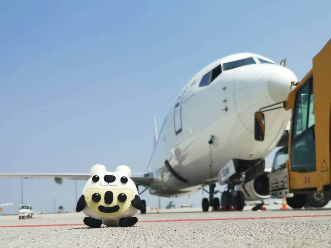 大石暁規さんのインスタグラム写真 - (大石暁規Instagram)「#chinaeasternairlines #中国東方航空 #airplane #飛行機」4月17日 17時26分 - akinori_oishi