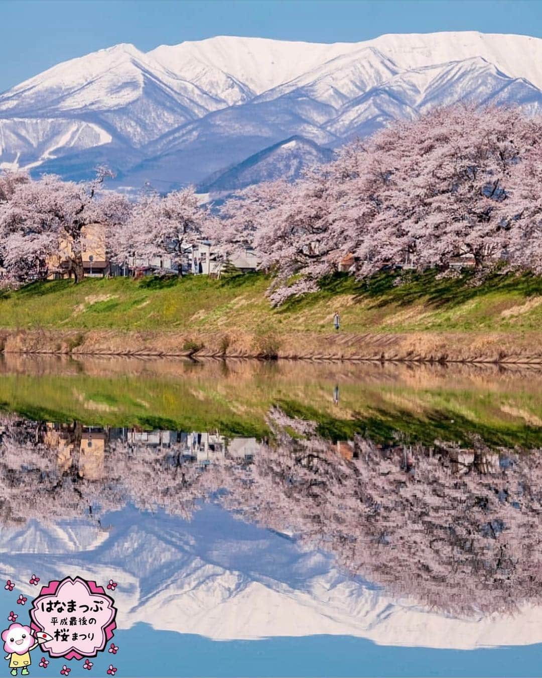 はなまっぷ❁日本の花風景さんのインスタグラム写真 - (はなまっぷ❁日本の花風景Instagram)「🍃🌸はなまっぷ平成最後の桜まつり🌸🍃 * @_k___5_ さんの 平成の桜に花まるを💮 * 平成を彩る日本の美しい桜をありがとうございます😊🌸🍃 * 宮城  #大河原一目千本桜 Ogawara, Miyotogi Pref. * 見頃を過ぎている場所もご紹介しています。 お出かけの際はHP等で最新の情報をご確認くださいね🙏🌸🍃 * 🌸•••🍃•••🌸•••🍃•••🌸•••🍃•••🌸 * 🌸桜まつり概要🌸 * 期間:平成最後の日まで タグ:#はなまっぷ * #はなまっぷ  のタグの中から、桜のお写真をどんどんご紹介させていただきます。期間中はランダムに、複数枚投稿でもご紹介させていただく場合がございます。 * #桜#sakura#花見#さくら#日本#春#花#平成最後の#満開#リフレクション#白石川堤一目千本桜 * 🌸•••🍃•••🌸•••🍃•••🌸•••🍃•••🌸 * はなまっぷより * 💌LINEスタンプ「はなまっぷちゃん」絶賛発売中！みなさんのLINEにも花まるを💮 💌はなまっぷ本、Amazonや全国の書店さんで満開です！ぜひお手にとっていただけると嬉しいです🌸 * LINEスタンプ、はなまっぷ本は、プロフ欄記載のTwitterアカウントよりご確認ください。 * 🌸•••🍃•••🌸•••🍃•••🌸•••🍃•••🌸 *」4月17日 23時04分 - hanamap