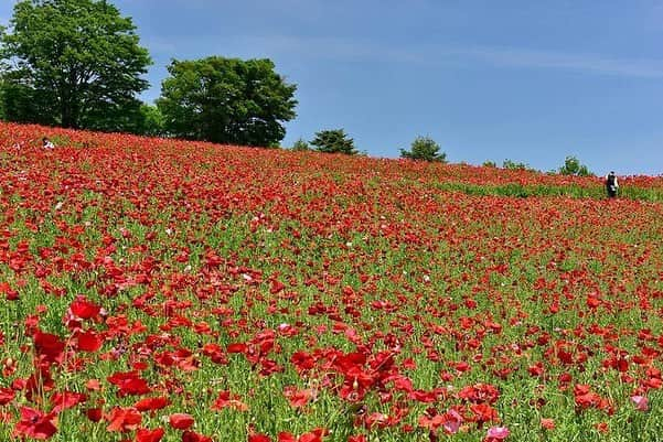 レッツエンジョイ東京のインスタグラム