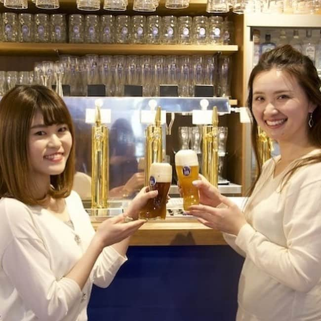 【ビール女子 -Beergirl.net-】さんのインスタグラム写真 - (【ビール女子 -Beergirl.net-】Instagram)「✍️ビール女子レポート（2/3）﻿ ﻿ 🍺新宿駅から徒歩1分、まるで都会のオアシスのようなお店「 #ツムビアホフノイ 」がオープン！﻿ ﻿ 🇩🇪ミュンヘン公認6大醸造所のひとつ『ホフブロイ』の生ビールを、本場と変わらない品質で楽しめるビアホールです🍺たくさんの声がわいわいと飛び交い、嬉しいサービス満載のお店でした！﻿ ﻿ 🍺4月13日（土）、新宿東口にオープンした「ツムビアホフノイ」にビール女子メンバーが潜入！既存店とはちょっと違う「ツムビアホフノイ」の魅力を徹底レポートします！ ﻿ ﻿ ﻿ ▼﻿ ﻿ ﻿ 🇩🇪新宿でのランチの選択肢を増やしてくれるであろう「ツムビアホフノイ」のブッフェランチ。その理由は、お腹がいっぱいになるという安心感があり、いろんなものを少しずつ食べられるブッフェランチだから。﻿ ﻿ 🍺「ドイツ風ハンブルグステーキ 特製デミグラスソース」や「ドイツ産モザレラチーズを使ったムール貝とほうれん草のドリア」、「季節の魚のグリル柚子胡椒とキノコのクリームソース ハーブとパプリカのヴィネグレットマリネ」など、本場ドイツの味を堪能できる、選べる10種類のメインディッシュ付。﻿ ﻿ 🇩🇪さらに、「ドイツの生ハム」や「クラウト・ザラート」などの本場の料理はもちろん、サラダやデザートまで自分の好みのものをブッフェ形式で選ぶことができます。ビールのセルフ飲み放題もつけたら、ビール女子は行かない手はありません！﻿ ﻿ ﻿ ▼﻿ ﻿ ---キャンペーン情報---﻿ ﻿ ドリンク一杯無料キャンペーン﻿ ◯内容﻿ ﻿ 「ツムビアホフノイ」で過ごしている様子を、ハッシュタグ「 #ツムビアホフノイ 」「 #新宿ビール 」を付けて、InstagramまたはTwitterに投稿してください。投稿画面を提示するとお好きなドリンク（※）1杯とプレッツェルのセットを無料で楽しめます。※カクテルは対象外となります。﻿ ﻿ ◯使用条件﻿ ・ お料理１品注文の方（デザート不可）﻿ ・ランチブッフェとの併用も可能です。﻿ ﻿ ◯注意事項﻿ ・ディナータイム時、お会計の際にサービス料10％が加算されます。﻿ ・カクテルは対象外となります。﻿ ﻿ ◯キャンペーン期間﻿  2019年4月19日（金）〜2019年5月10日（金）﻿ ﻿ ﻿ ◯対象ドリンク﻿ ・ビール：Sサイズ（250ml）全5種類の樽生ビールよりお選びいただけます。﻿ ・ソフトドリンク﻿ ﻿ ---------------------------﻿ ﻿ ﻿ ▼﻿ ﻿ ==お店情報==﻿ ﻿ ◯住所：〒150-0002 東京都新宿区新宿３丁目26-14 新宿ミニム 7F﻿ ◯アクセス：新宿駅(東口)から徒歩1分　/　新宿3丁目駅(A5出口)から徒歩1分﻿ ◯電話番号：03-5361-7338﻿ ◯営業時間﻿ 【平日】﻿ ランチ　11:30～15:00(14:00L.O)﻿ カフェ 15:00～18:00(17:00L.O)﻿ ディナー17:00～23:30(22:30L.O)﻿ 【土】11:30～23:30　(22:30 L.O)﻿ 【日・祝】11:30～22:30（21:30L.O）﻿ ﻿ ﻿ #ビール女子 #PR」4月17日 18時07分 - beergirl_net