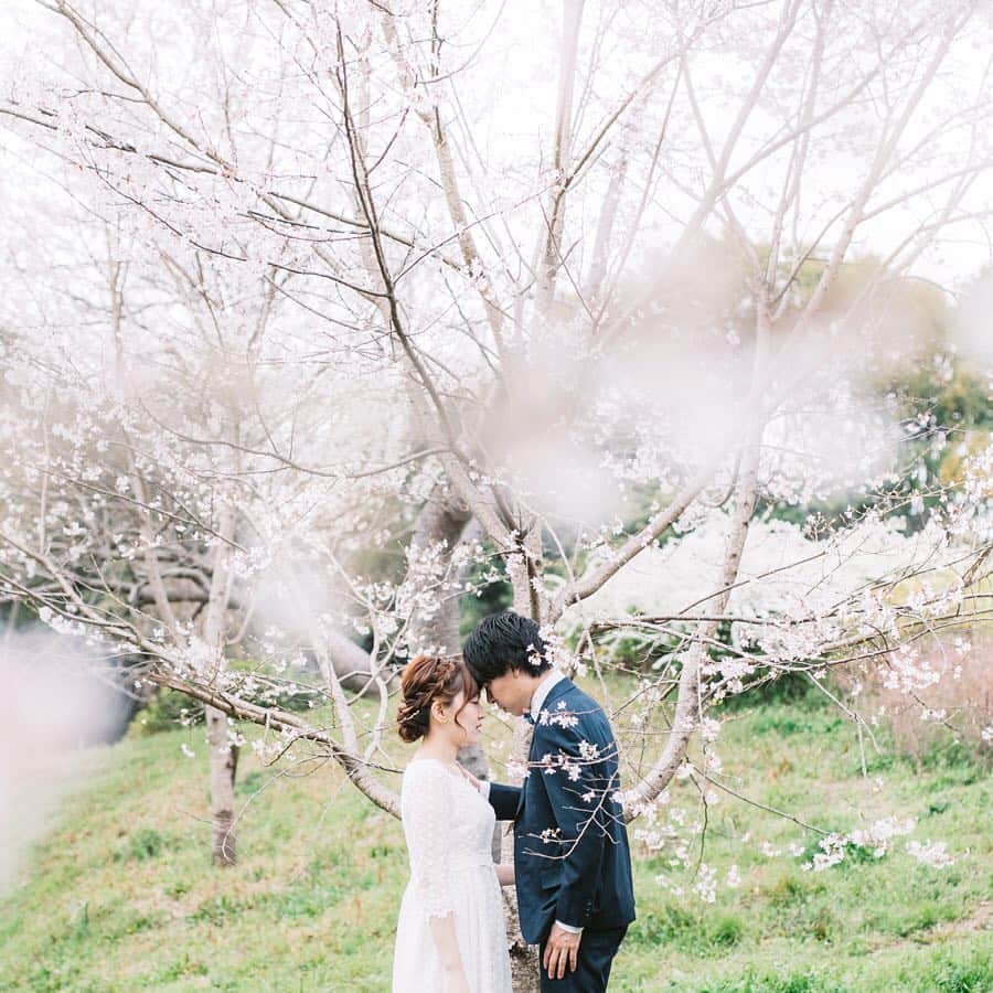 fuka_09さんのインスタグラム写真 - (fuka_09Instagram)「﻿ ﻿ ２人の周りに﻿ たくさんの花が﻿ 咲きますように﻿ ﻿ ✿﻿ ﻿ #prewedding﻿ #preweddingphoto」4月17日 18時09分 - fuka_09