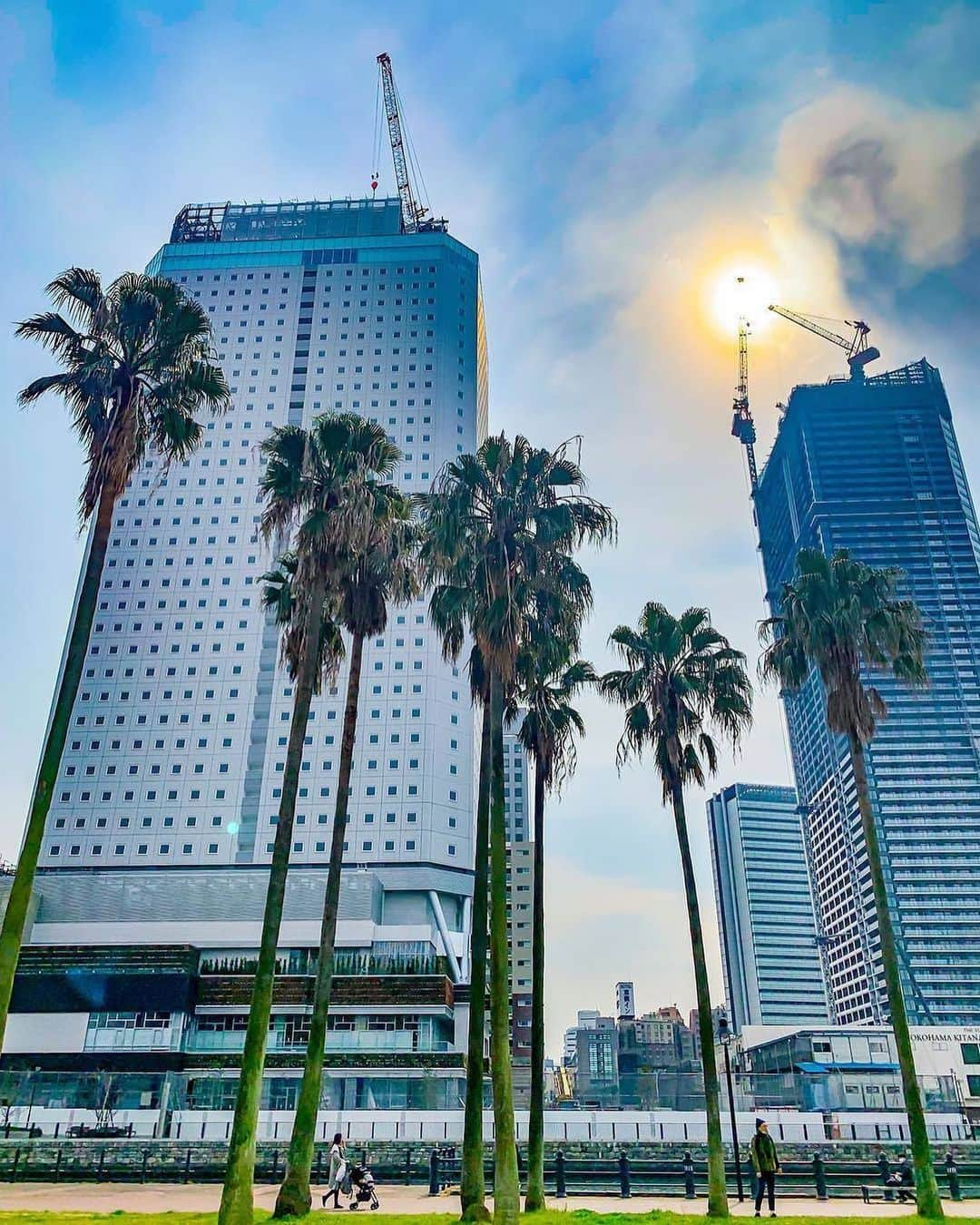 横浜市さんのインスタグラム写真 - (横浜市Instagram)「Anyone up for some palm trees and calm breeze? Photo: @mitsu_8190 #myyokohama」4月17日 18時12分 - findyouryokohama_japan