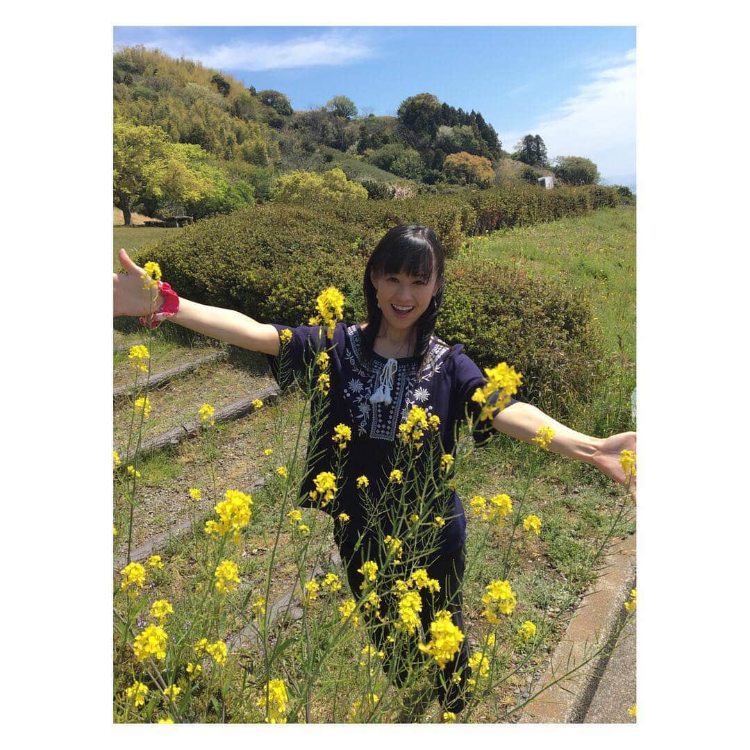 柳野玲子さんのインスタグラム写真 - (柳野玲子Instagram)「春だぁ〜♪♪ #菜の花 #山 #春 #春爛漫」4月17日 18時13分 - yanaginoreiko