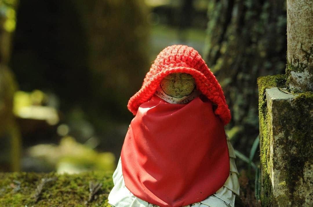 Visit Wakayamaさんのインスタグラム写真 - (Visit WakayamaInstagram)「. Have you seen ojizousan before? These cute little statues in red bibs protect the souls of children, and each one is slightly different. Find your favorite! #visitwakayama 📸: @koya.photo」4月17日 19時00分 - visitwakayama