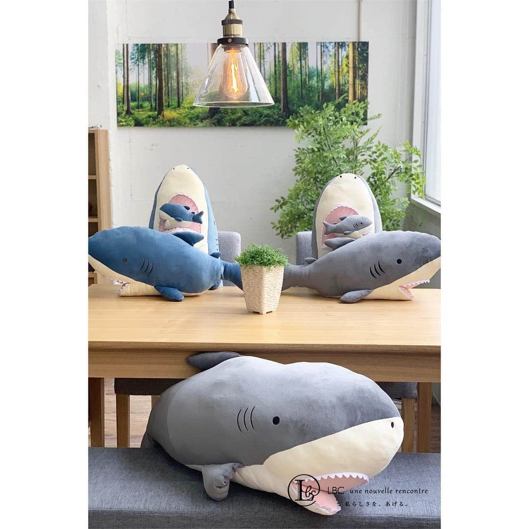 lbcmarketさんのインスタグラム写真 - (lbcmarketInstagram)「【NEWS】\COMMING SOON../ >>>>>>SHARK CUSHION .  今年もやってきます！ 毎年の大人気のその名もシャークッション .  ふわふわモチモチの柔らかさは手触りバツグンで、もちろん抱き心地も最高です .  クッションやお昼寝枕、抱き枕として、ぜひともくつろぎタイムの相棒にしたいですね .  お祝いや記念日ギフトなど、サプライズ感たっぷりのプレゼントにもおすすめです .  いち早く公式オンラインストアにてご予約承っております .  #lbcmarket #lbc_market #lbcwithlife #lbc #shark #cushion #livingroom #さめ #サメのぬいぐるみ #クッション #インテリア #もちもち #抱き枕 . 【LBC_photo】 LBC公式オンラインストアにて 皆さまのInstagramで下記のハッシュタグ #lbc  #lbcwithlife #lbcmarket #lbc_market 投稿している写真を紹介しております♪ 紹介時にはLBCスタッフからご連絡後、 皆さまの写真を掲載させていただきます 皆さまの素敵なLBC を是非投稿してみてください♪」4月17日 19時26分 - lbc_official_