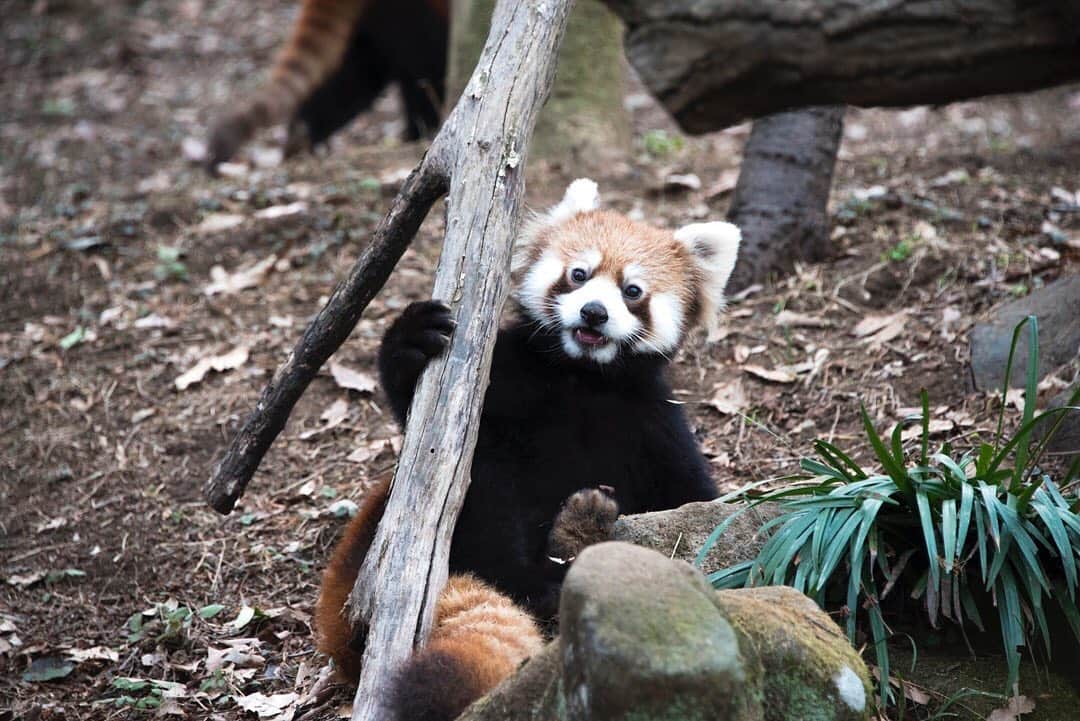 東京都庁広報課のグルメインスタ