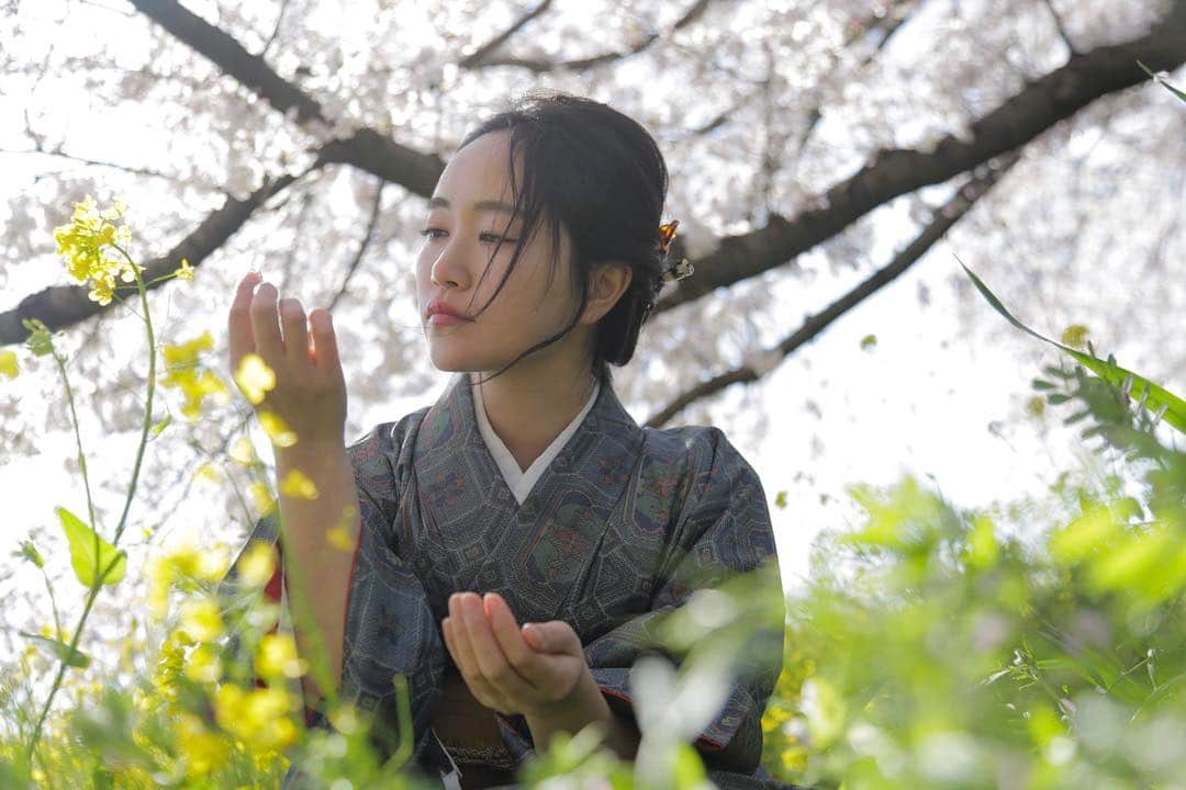 江守沙矢さんのインスタグラム写真 - (江守沙矢Instagram)「画像でお花見気分 🌸第3弾  東京は桜終わってしまったけど 写真でまだまだお花見してください🌸 . . お着物×桜 . . .  #熊谷桜堤 #日本桜100選 #日本さくら名所100選  #桜 #sakura #平成最後の桜 #日本の桜 #spring #springflower #springday #springwatch #kumagaya #ポートレート #portrait #spring #springflower  #japanspring #japanesegirl  #お花見 #土手の桜 #ピクニック #インスタ映え #さくら #春 #spring #photo #photography #江守沙矢　#jalan_sakura2020」4月17日 19時32分 - saya_emori