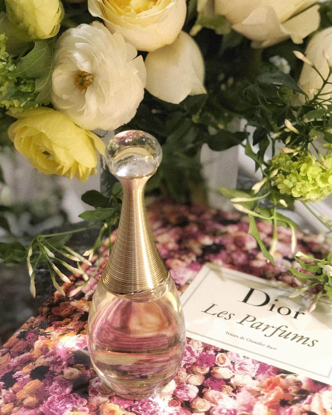 セフォラさんのインスタグラム写真 - (セフォラInstagram)「Qui est fan des parfums Dior ici ? ☝🏽 Suivez-nous en Stories cet après-midi pour vivre un moment spécial au cœur de @diorparfums ✨ #diorparfums」4月17日 19時32分 - sephorafrance