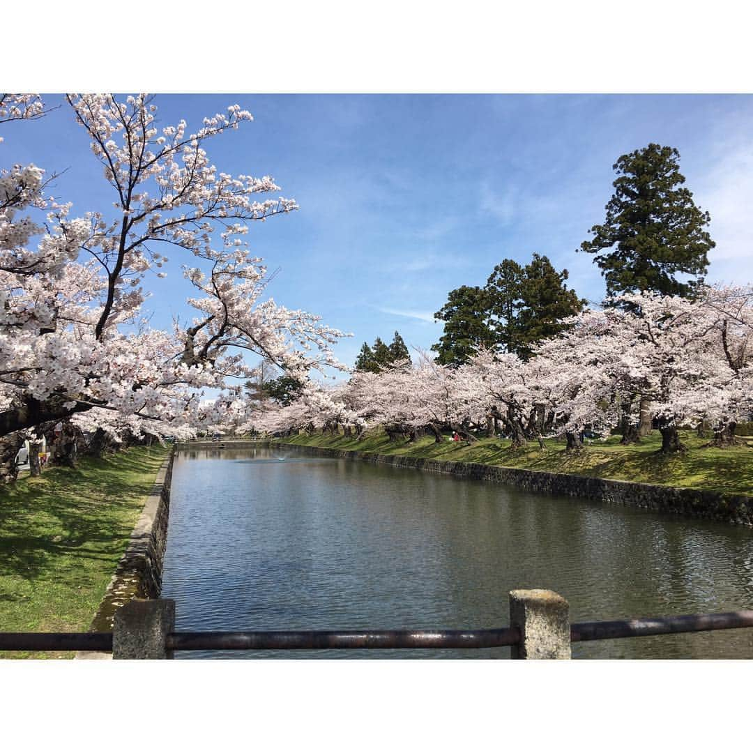 松浦志穂さんのインスタグラム写真 - (松浦志穂Instagram)「駆け足帰省でしたが、たまたま地元が桜🌸満開👏思いがけず17年ぶり？！の地元花見🌸 ・ ①みきこ。高校時代部活が嫌で逃走した鶴岡公園のルートを思い出しながら☺️ ②大山公園の桜。 ③太平山へ登り途中母。ど森。10分もあれば登れる小高い丘くらいの所だけど途中を写真に撮ってみたらど森。ど山。 ④下池をバックに。 ⑤大山公園は木蓮も満開 ⑥⑦鶴岡公園🌸 ⑧出店も出る鶴岡公園の花見なんてマジ北高ぶり ⑨鶴岡公園の丘の向こうにも桜の群れ🌸 ⑩鶴岡満開🌸 ・ 北高の同級生に偶然3人も会った☺️後輩にも会った☺️良い偶然が重なる帰省✨🙏✨ ・ #大山公園  #鶴岡公園 #山形県鶴岡市 #山形県鶴岡市大山  #鶴岡桜まつり  #桜満開」4月17日 19時55分 - matushiho