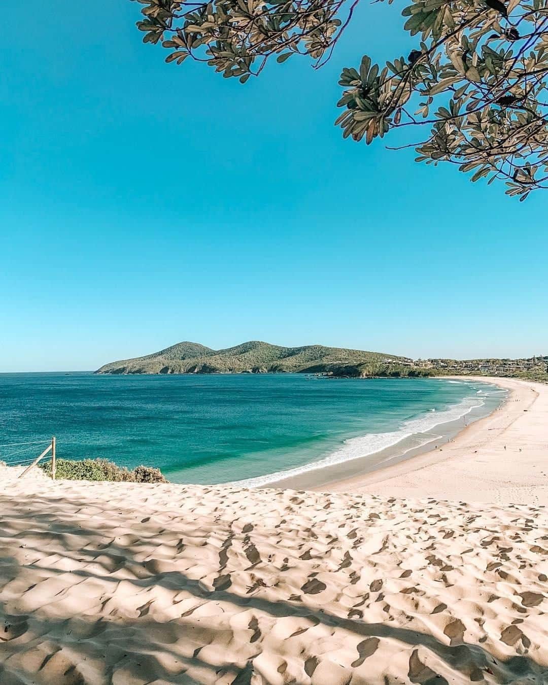 Australiaさんのインスタグラム写真 - (AustraliaInstagram)「You know it’s your lucky day when you get a long stretch of beach all to yourself! 🏖️ @shaye.cooper spent a “magical Friday” on #Forster’s #OneMileBeach, which is a 3.5-hour drive from @sydney in @visitnsw’s @barringtoncoast region. The #beach is bordered by a large park with barbecue and picnic facilities, so pack a delicious lunch spread and you can easily spend the whole day here swimming and surfing in the water. TIP: Take a stroll to the northern end to Bennett's Head Lookout for a panoramic view of the area, and make sure to have your camera with you! 😉  #seeaustralia #newsouthwales #barringtoncoast #travel #thegreatoutdoors」4月17日 20時00分 - australia