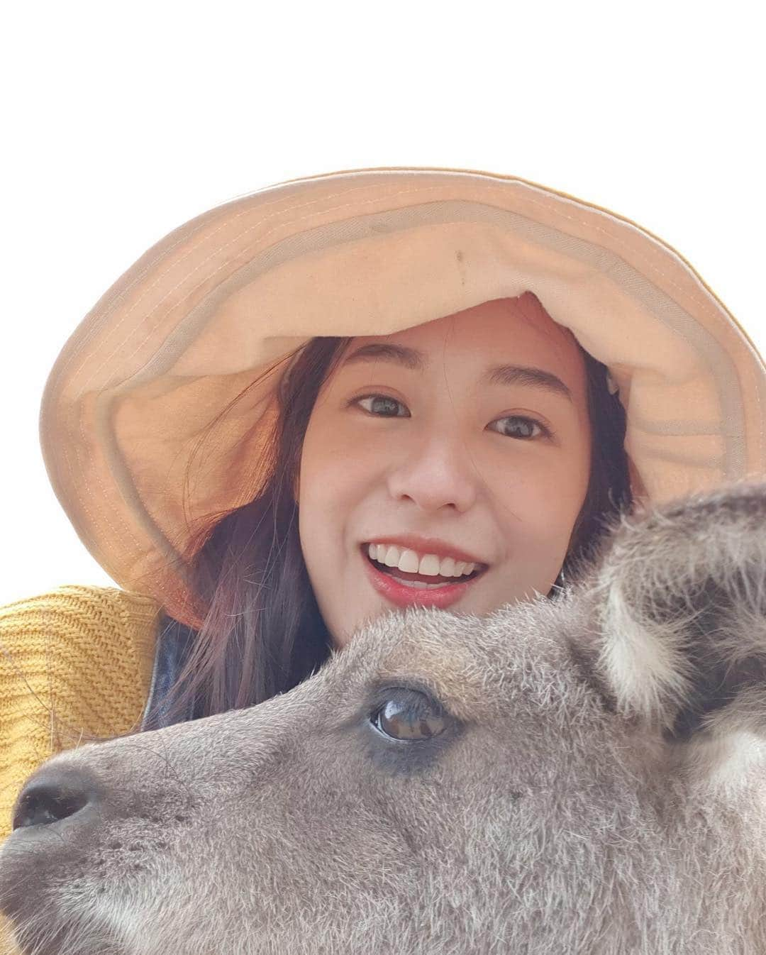 PIMTHAさんのインスタグラム写真 - (PIMTHAInstagram)「Kangaroo kisses! 😗💕」4月17日 20時02分 - pimtha