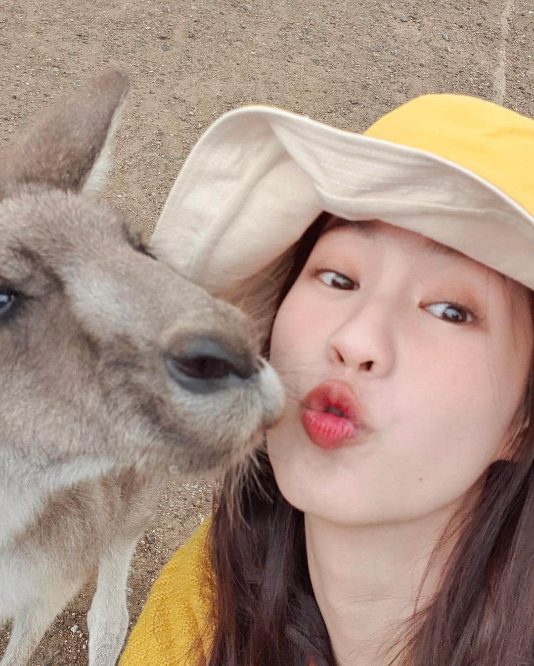 PIMTHAさんのインスタグラム写真 - (PIMTHAInstagram)「Kangaroo kisses! 😗💕」4月17日 20時02分 - pimtha