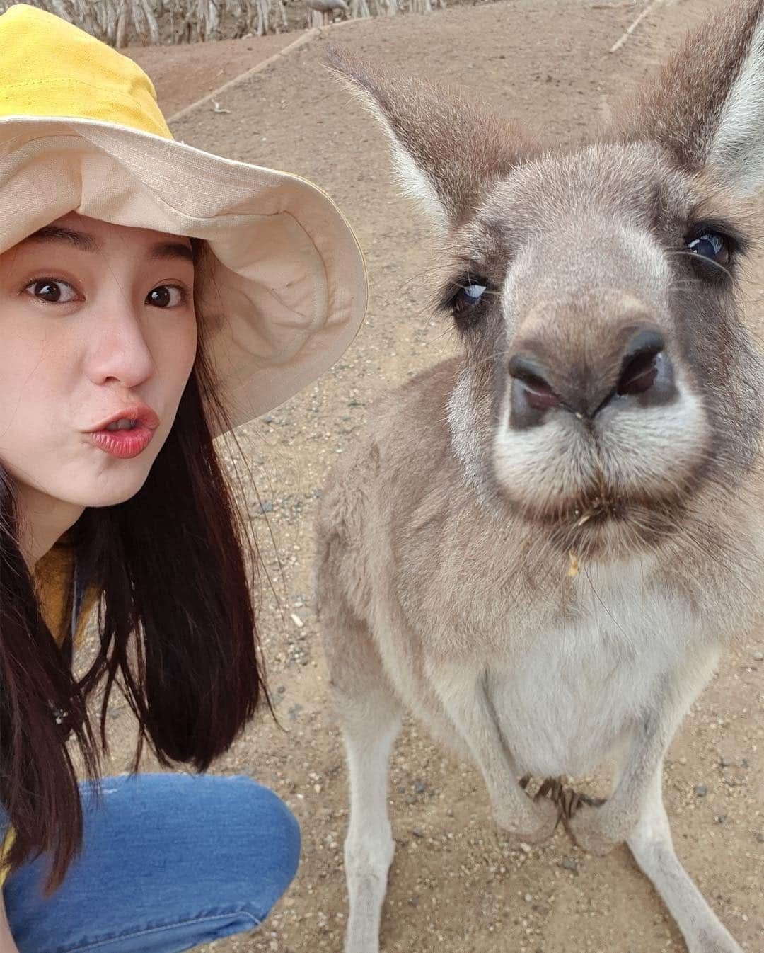 PIMTHAさんのインスタグラム写真 - (PIMTHAInstagram)「Kangaroo kisses! 😗💕」4月17日 20時02分 - pimtha