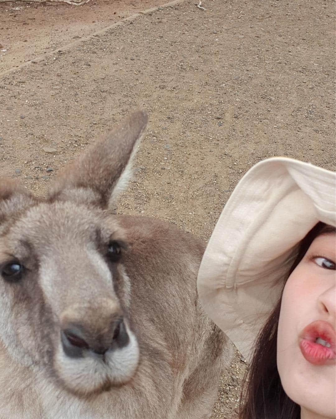 PIMTHAさんのインスタグラム写真 - (PIMTHAInstagram)「Kangaroo kisses! 😗💕」4月17日 20時02分 - pimtha