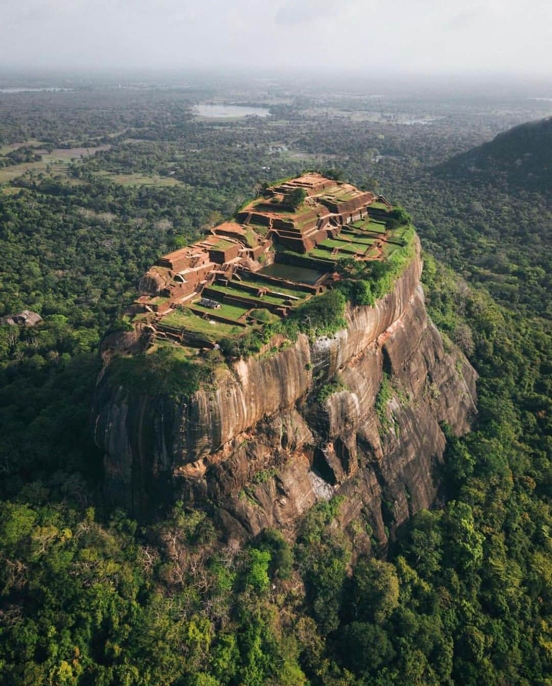 Discoveryさんのインスタグラム写真 - (DiscoveryInstagram)「“I will never forget sleeping in the jungle, looking a wild leopard in the eyes, feeding stray dogs or climbing 5500 stairs up to a sacred temple in the middle of the night in Sri Lanka.” 📸 + caption by Niklas Söderlund (@nattesferd) . . . . #SriLanka #travel #nature #naturephotography #adventure #potd #photooftheday #discover #wildlifephotography #outdoors」4月17日 20時23分 - discovery