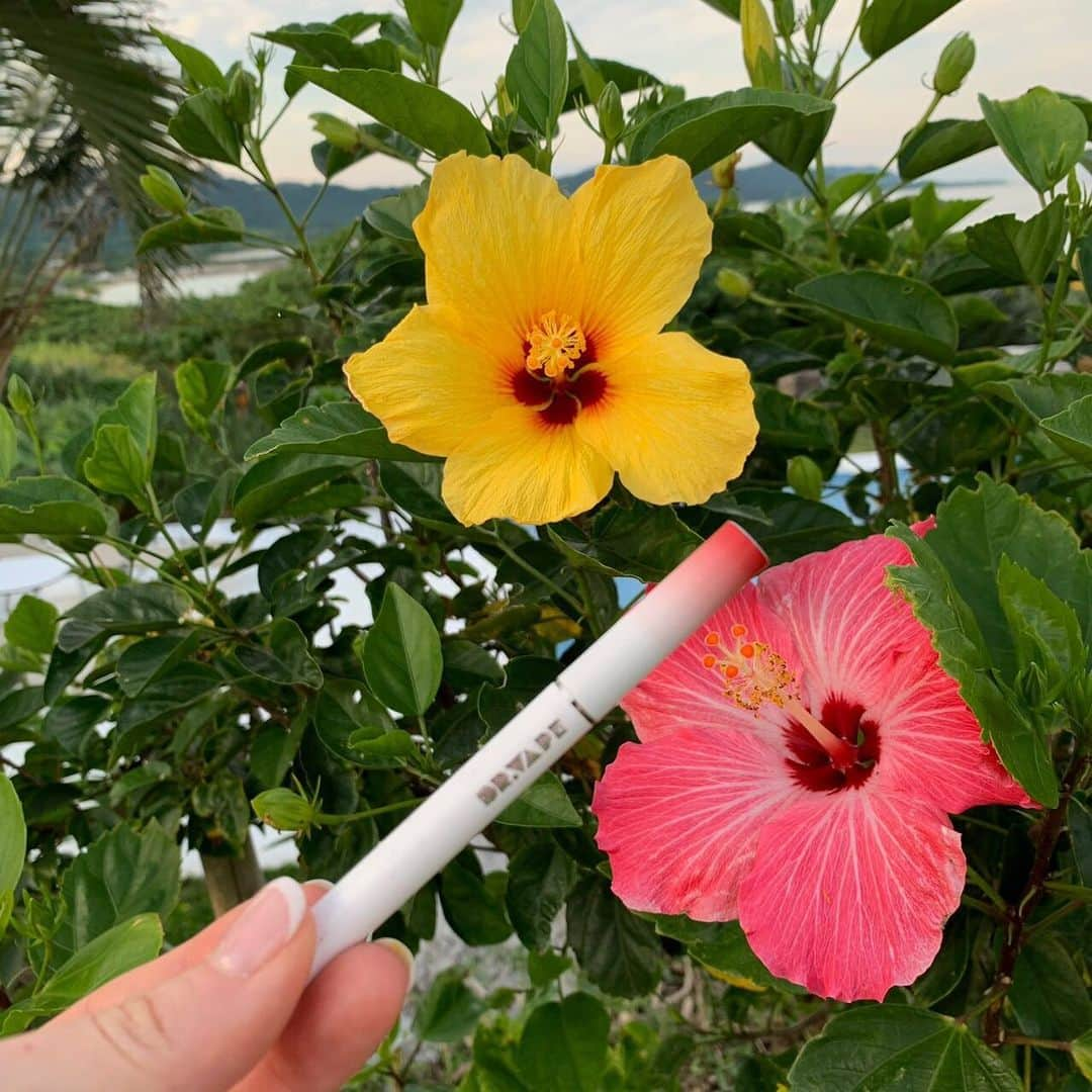 DR.VAPEさんのインスタグラム写真 - (DR.VAPEInstagram)「青い海、きれいな空の下、元気いっぱい咲いてる石垣島のハイビスカス🌺 * * 気持ち良い空気の中、環境にいいDR.VAPEで☺️ * * #DRVAPE#VAPE#ishigakiisland#Okinawa#japan#hibiscus#sea#travelgram#travel #ドクターベープ#べイプ#石垣島#沖縄#日本#ハイビスカス#海#リゾート#海好きな人と繋がりたい#世界旅行#健康#旅好きな人と繋がりたい#禁煙#禁煙グッズ#タバコ#禁煙したい#旅好き#花のある暮らし#絶景#花好きな人と繋がりたい」4月17日 20時29分 - dr.vape_official