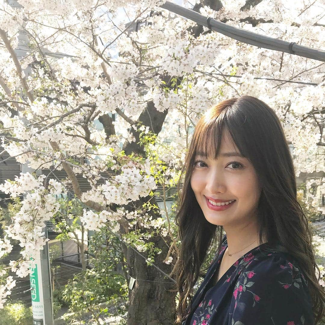 佐達ももこさんのインスタグラム写真 - (佐達ももこInstagram)「桜長かったけど散ってしまった🌸 演劇ハイキュー‼︎"最強の場所" DVD発売したみたいですね😊📀 皆さんもう観ましたか☺️？ すごい遠い昔の事に感じるけど、まだ4ヶ月か〜🤔 東京の陣も早く観たいな〜🏐 . . #桜#演劇ハイキュー#ハイキュー#最強の場所」4月17日 20時40分 - sadamomodayo